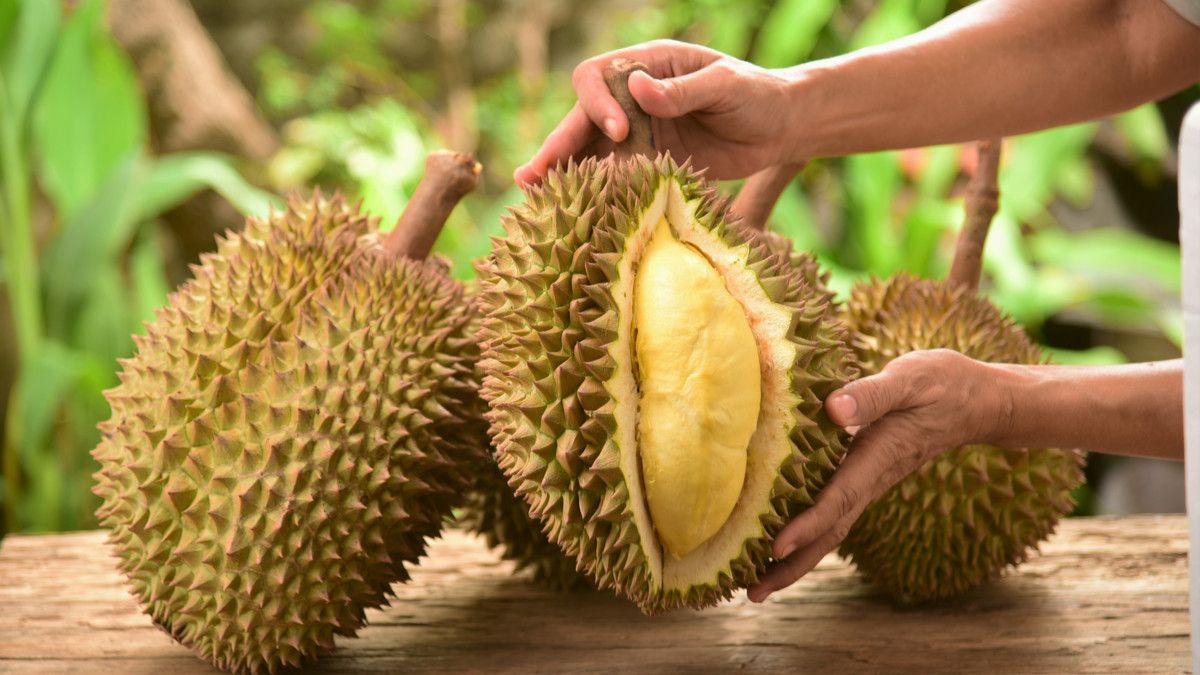 Manfaat Durian
